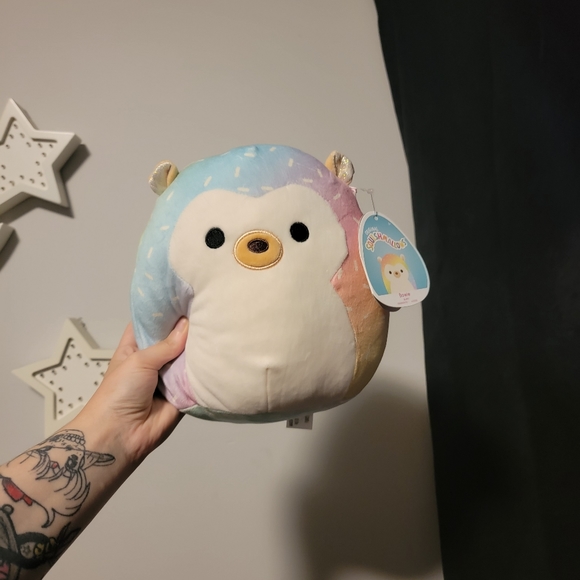 Bowie the hedgehog - Picture 1 of 1